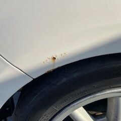 平成17年式　ダイハツ　ミラジーノ　車検付の画像