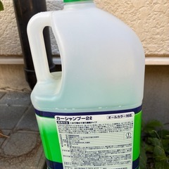 カーシャンプーの画像