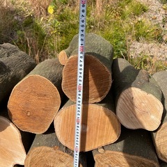 玉切り薪の画像