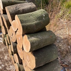 玉切り薪の画像
