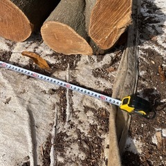 玉切り薪の画像