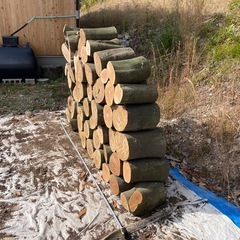 玉切り薪の画像