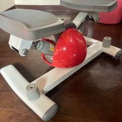 東急スポーツ　オアシス　ツイストステッパーの画像