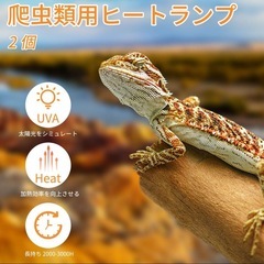 新品未使用　バスキングライト 防爆コーティング 爬虫類 サングロー 50W 2個 爬虫類の画像