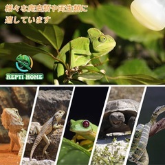 新品未使用　バスキングライト 防爆コーティング 爬虫類 サングロー 50W 2個 爬虫類の画像