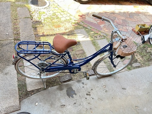 安い レア実生！ 写真2-5枚目 チレコドン ポドレイアエ 多肉植物 塊根