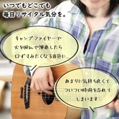 natu-reverb AC-1n の画像