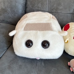 モルカーの画像