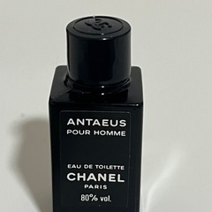 アンテウス（サンプル）、CHANEL、シャネルの画像