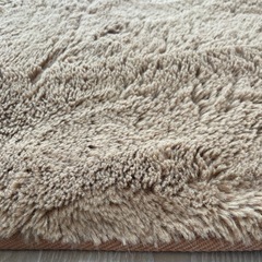 商談中 ラグの画像