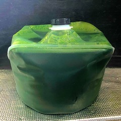 【最安値】　生クロレラ　原液　１００ｍｌ　生き餌　産卵促進　メダカ　針子金魚　熱帯魚　稚魚　栄養食　グリーンウォーター　青水の画像