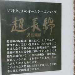 新品　ブランド品　Michael rosalio　タオルシーツ　寝具の画像