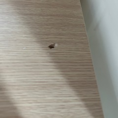 収納ケースの画像