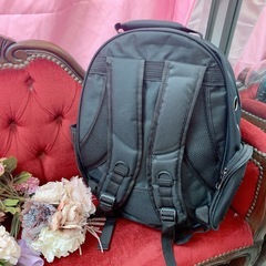 猫、小型犬用リュックの画像