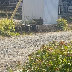 鉢風廃タイヤ（訳あり）の画像