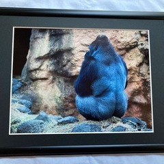 額縁①　おまけ付きの画像