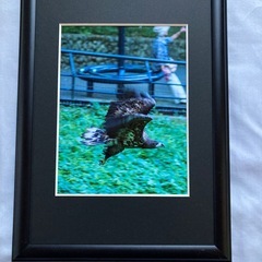 額縁②　おまけ付きの画像