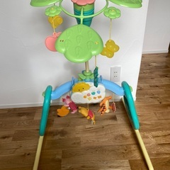 プーメリーの画像