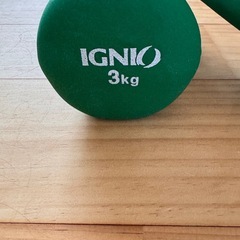 イグニオ　バーベル2個セット
の画像