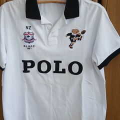 美品Poloの画像