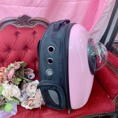 猫、小型犬用リュックの画像