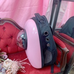 猫、小型犬用リュックの画像