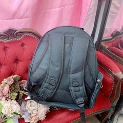 猫、小型犬用リュックの画像