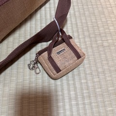 【お話中】コストコ　保冷バッグの画像