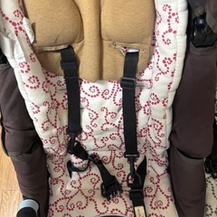 AirBuggy ココダブル  双子用
の画像