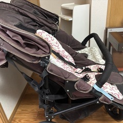 AirBuggy ココダブル  双子用
の画像