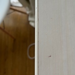 2026/1月まで‼️ニトリ　タンス　収納の画像