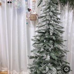 クリスマスツリーの画像