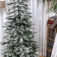 クリスマスツリーの画像