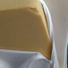 トゥルースリーパープレミアケアの画像