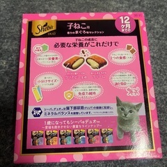 猫ちゃんのごはん(子ねこ用)の画像