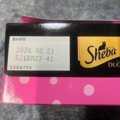 猫ちゃんのごはん(子ねこ用)の画像