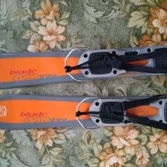 ショートスキーの画像