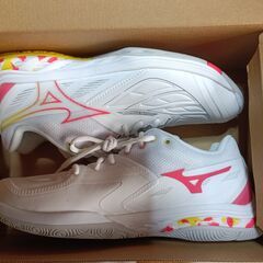 mizunoミズノウエーブファング２ＦＩＴバドミントンシューズの画像