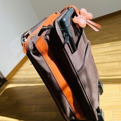 小さなチンドム
の画像