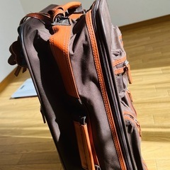 小さなチンドム
の画像