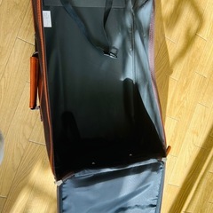 小さなチンドム
の画像