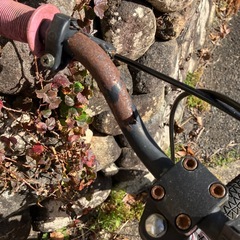 自転車　子供用　16インチの画像