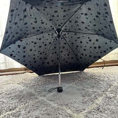 折畳傘　レディースの画像
