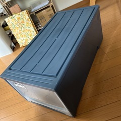 衣装収納ケースの画像