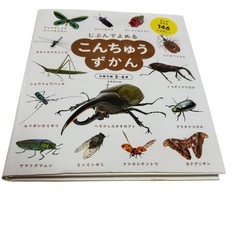 じぶんでよめるずかんシリーズ　恐竜　電車　昆虫　3冊セット　3歳〜6歳用の画像