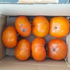 柿(７個で500円)の画像