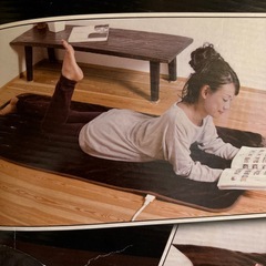 【決定】ぽかぽかルームマット Roommat YUASAの画像