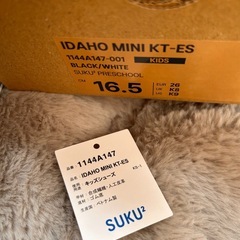 [アシックス]アイダホ　MINI KT-ES 一本ベルト 16.5cnの画像