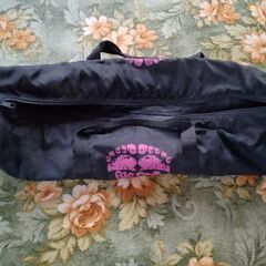 ファンスキーの画像