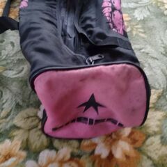 ファンスキーの画像